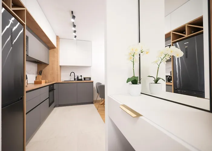 Apartment Alpha Level