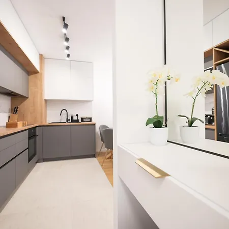 Apartament Alpha Level